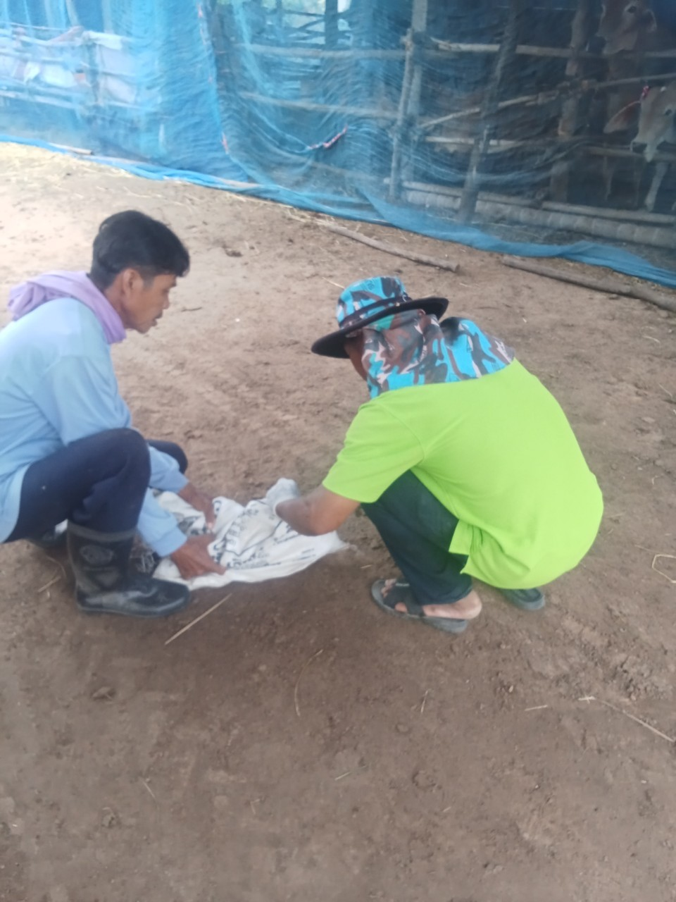 โครงการขับเคลื่อนโครงการสัตว์ปลอดโรค คนปลอดภัย จากโรคพิษสุนัขบ้า ตามพระปณิธานศาสตราจารย์ ดร.สมเด็จพระเจ้าน้องนางเธอ เจ้าฟ้าจุฬาภรณวลัยลักษณ์ อัครราชกุมารี กรมพระศรีสวางควัฒน วรขัตติยราช นารี งบประมาณประจำปี 2568โครงการขับเคลื่อนโครงการสัตว์ปลอดโรค คนปลอดภัย จากโรคพิษสุนัขบ้า ตามพระปณิธานศาสตราจารย์ ดร.สมเด็จพระเจ้าน้องนางเธอ เจ้าฟ้าจุฬาภรณวลัยลักษณ์ อัครราชกุมารี กรมพระศรีสวางควัฒน วรขัตติยราช นารี งบประมาณประจำปี 2568