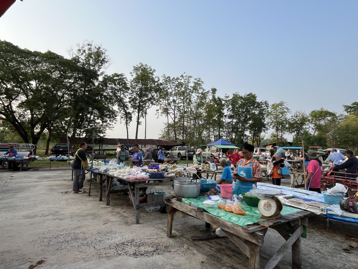 ประชาสัมพันธ์ตลาดในตำบลประสุข