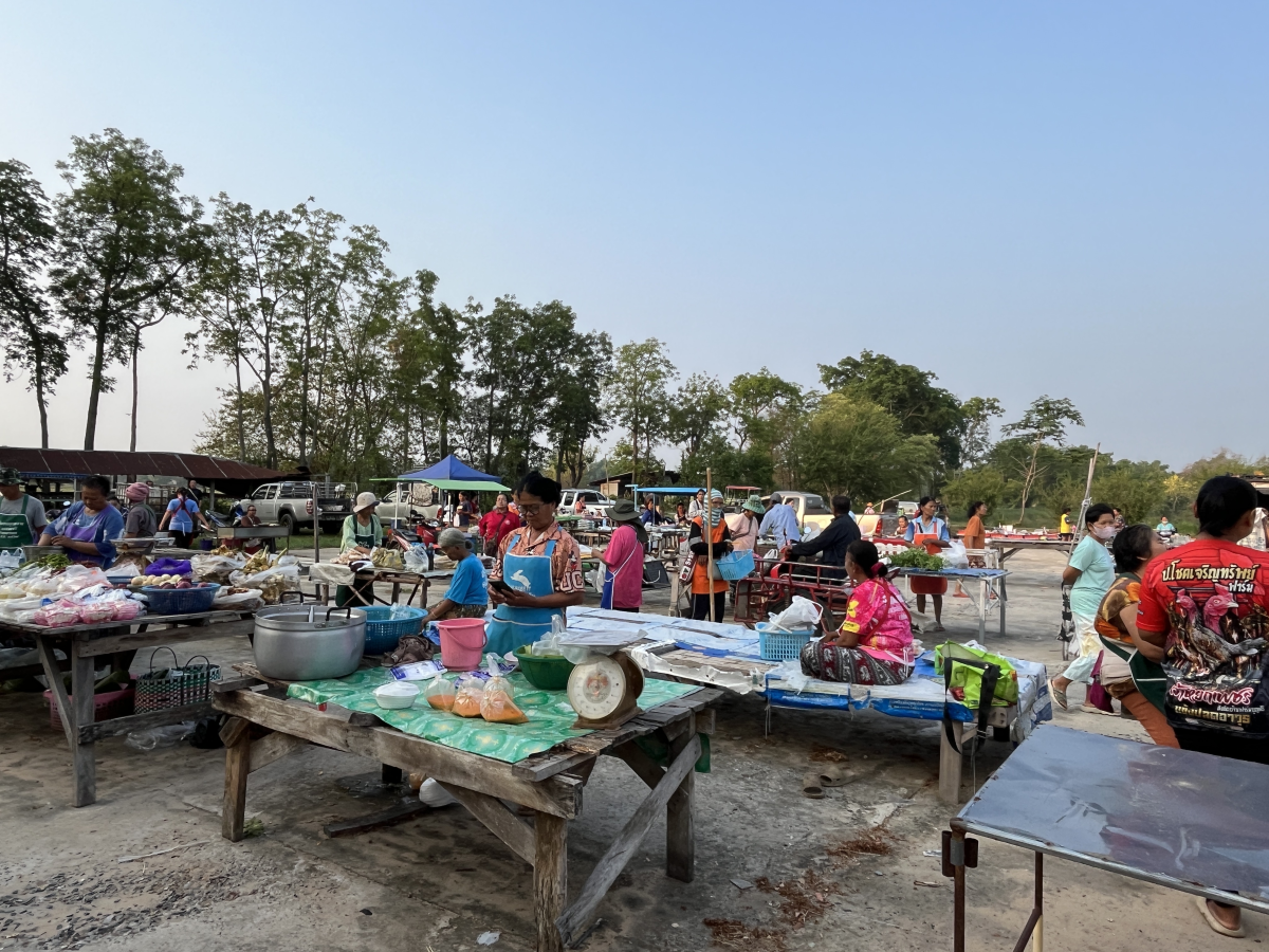 ประชาสัมพันธ์ตลาดในตำบลประสุข