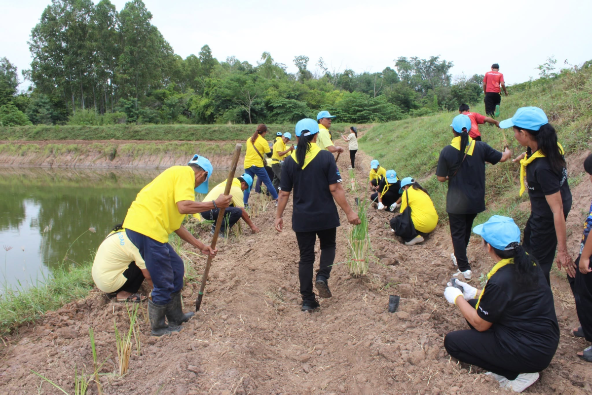 โครงการส่งเสริมการใช้หญ้าแฝก ประจำปีงบประมาณ 2569