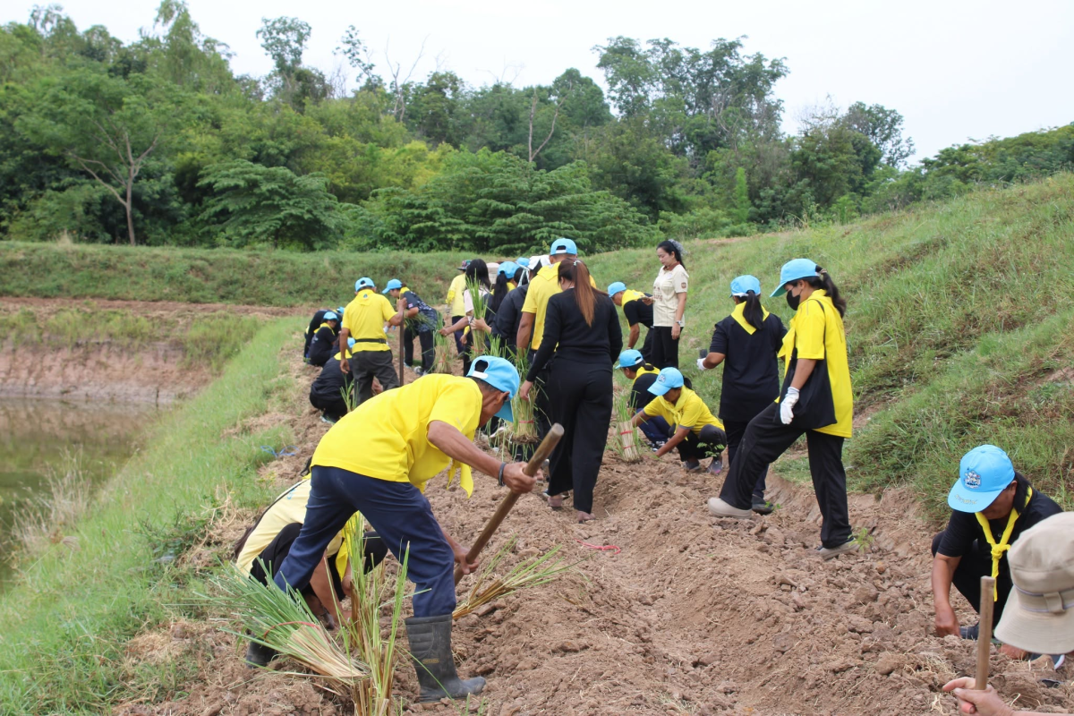 โครงการส่งเสริมการใช้หญ้าแฝก ประจำปีงบประมาณ 2569