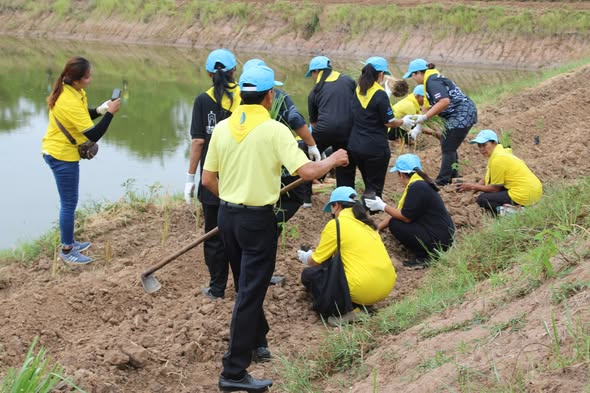 โครงการส่งเสริมการใช้หญ้าแฝก ประจำปีงบประมาณ 2569