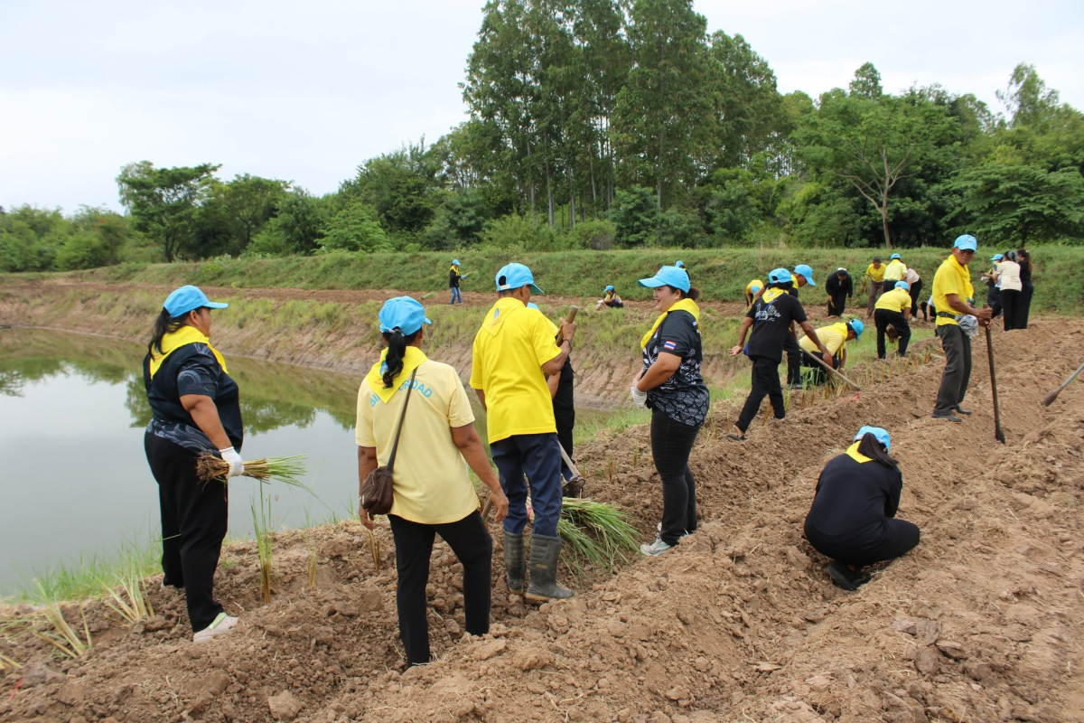โครงการส่งเสริมการใช้หญ้าแฝก ประจำปีงบประมาณ 2569