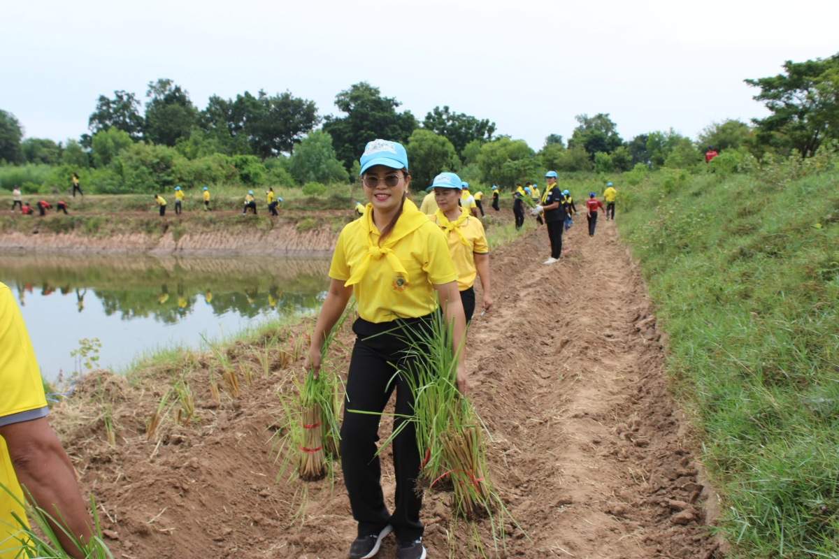 โครงการส่งเสริมการใช้หญ้าแฝก ประจำปีงบประมาณ 2569