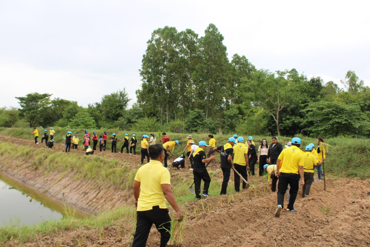 โครงการส่งเสริมการใช้หญ้าแฝก ประจำปีงบประมาณ 2569